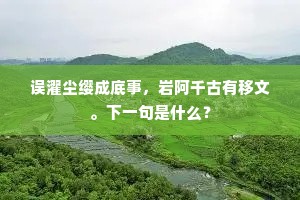 误濯尘缨成底事，岩阿千古有移文。下一句是什么？
