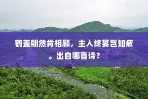 鹤盖翩然肯相顾，主人终宴岂知疲。出自哪首诗？