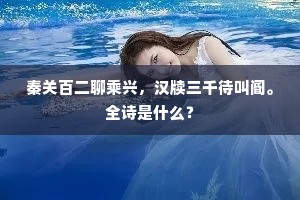 秦关百二聊乘兴，汉牍三千待叫阍。全诗是什么？