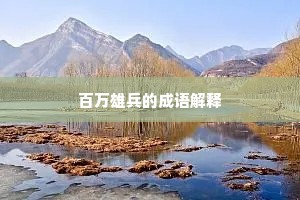 百万雄兵的成语解释