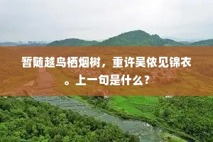 暂随越鸟栖烟树，重许吴侬见锦衣。上一句是什么？