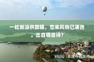 一枕新凉供醉眠，觉来风物已凄然。出自哪首诗？