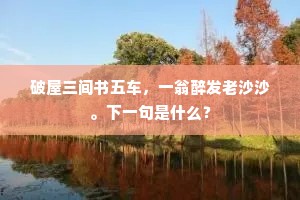 破屋三间书五车，一翁醉发老沙沙。下一句是什么？