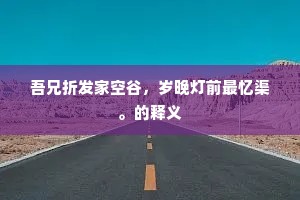 吾兄折发家空谷，岁晚灯前最忆渠。的释义