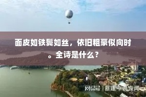 面皮如铁鬓如丝，依旧粗豪似向时。全诗是什么？