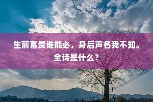 生前富贵谁能必，身后声名我不知。全诗是什么？