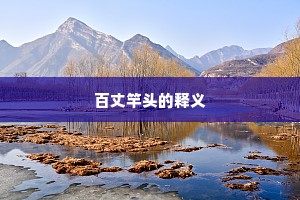 百丈竿头的释义