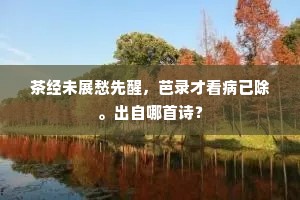茶经未展愁先醒，芭录才看病已除。出自哪首诗？