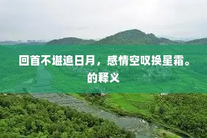 回首不堪追日月，感情空叹换星霜。的释义