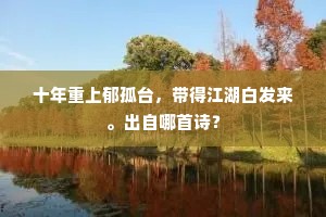 十年重上郁孤台，带得江湖白发来。出自哪首诗？