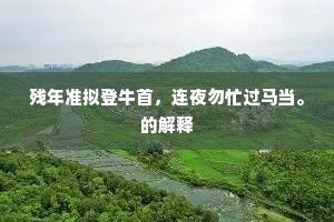 残年准拟登牛首，连夜勿忙过马当。的解释