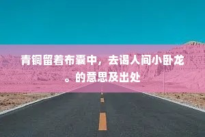 青铜留着布囊中，去谒人间小卧龙。的意思及出处