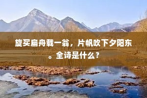 旋买扁舟载一翁，片帆吹下夕阳东。全诗是什么？