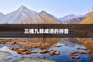 三槐九棘成语的拼音