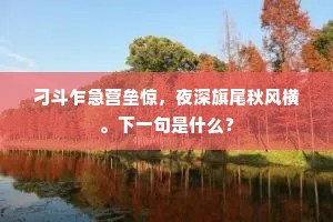 刁斗乍急营垒惊，夜深旗尾秋风横。下一句是什么？