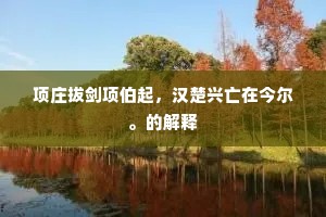 项庄拔剑项伯起，汉楚兴亡在今尔。的解释