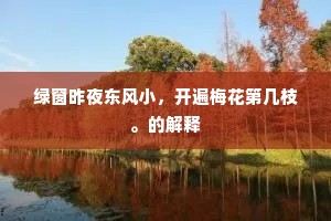 绿窗昨夜东风小，开遍梅花第几枝。的解释