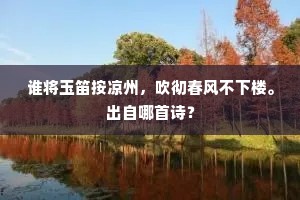 谁将玉笛按凉州，吹彻春风不下楼。出自哪首诗？