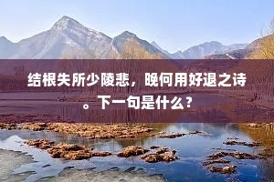结根失所少陵悲，晚何用好退之诗。下一句是什么？