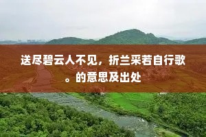 送尽碧云人不见，折兰采若自行歌。的意思及出处