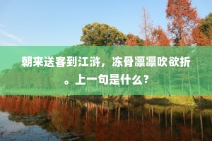 朝来送客到江浒，冻骨凛凛吹欲折。上一句是什么？