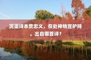 况渠诗本贯忠义，在处神物宜护持。出自哪首诗？
