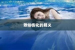 败俗伤化的释义