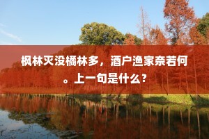 枫林灭没橘林多，酒户渔家奈若何。上一句是什么？