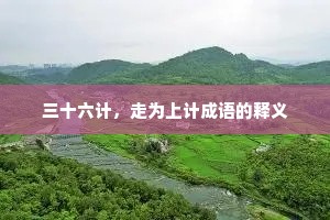 三十六计，走为上计成语的释义