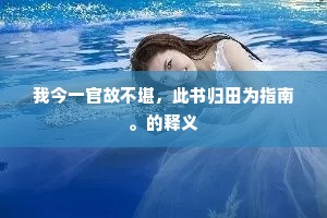 我今一官故不堪，此书归田为指南。的释义