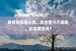 我曹所乐虽小技，历古更今不能废。出自哪首诗？