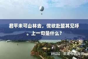 君平未可山林去，傥欲赴盟其见呼。上一句是什么？
