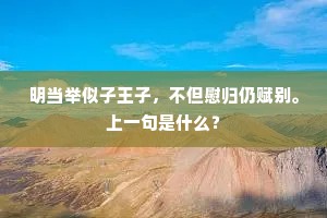 明当举似子王子，不但慰归仍赋别。上一句是什么？