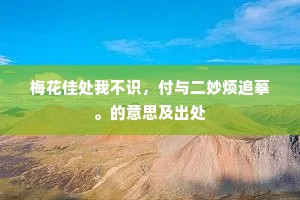 梅花佳处我不识，付与二妙烦追摹。的意思及出处