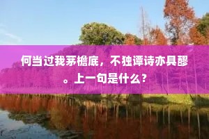 何当过我茅檐底，不独谭诗亦具醪。上一句是什么？