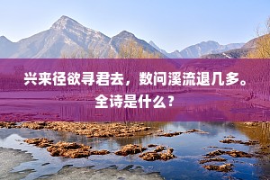 兴来径欲寻君去，数问溪流退几多。全诗是什么？