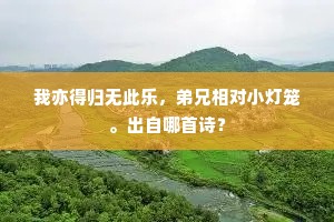 我亦得归无此乐，弟兄相对小灯笼。出自哪首诗？