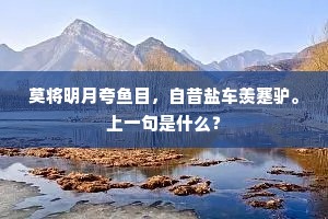 莫将明月夸鱼目，自昔盐车羡蹇驴。上一句是什么？