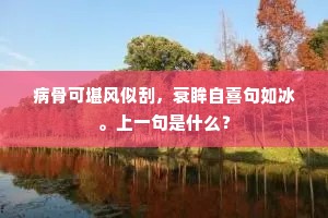 病骨可堪风似刮，衰眸自喜句如冰。上一句是什么？