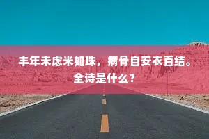 丰年未虑米如珠，病骨自安衣百结。全诗是什么？
