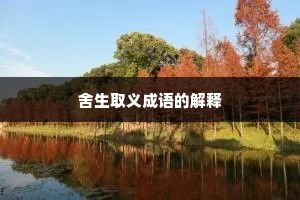 舍生取义成语的解释