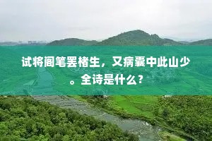 试将阁笔罢楮生，又病囊中此山少。全诗是什么？