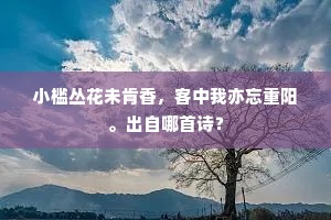 小槛丛花未肯香，客中我亦忘重阳。出自哪首诗？