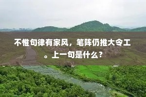 不惟句律有家风，笔阵仍推大令工。上一句是什么？