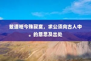 兹道祗今殊寂寞，求公须向古人中。的意思及出处