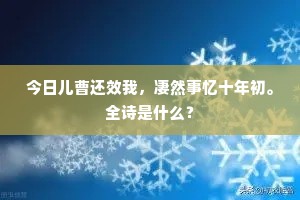 今日儿曹还效我，凄然事忆十年初。全诗是什么？