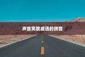 声音笑貌成语的拼音