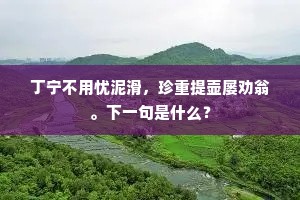 丁宁不用忧泥滑，珍重提壶屡劝翁。下一句是什么？