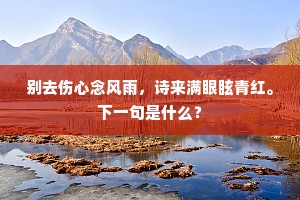 别去伤心念风雨，诗来满眼眩青红。下一句是什么？