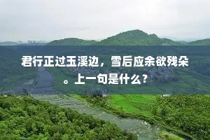 君行正过玉溪边，雪后应余欲残朵。上一句是什么？